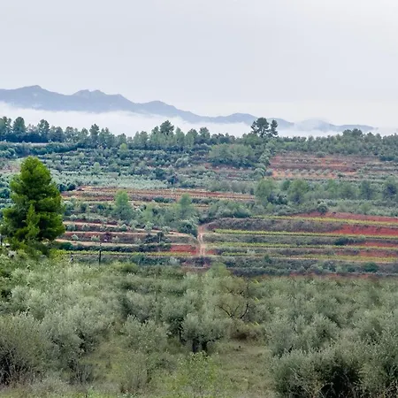Camins Del Priorat : Ermita Sant Gregori Bis *