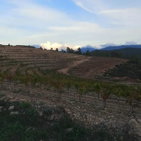 Camins Del Priorat : Ermita Sant Gregori Bis Apartment *